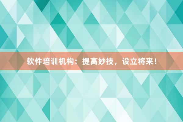 软件培训机构：提高妙技，设立将来！
